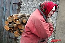 В зиму – без дров. Власти не обеспечили жителей бесплатным топливом