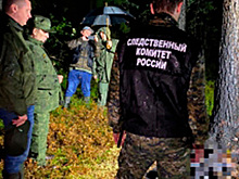 Обгоревшие тела женщины и ребенка нашли в лесу между Петербургом и Выборгом