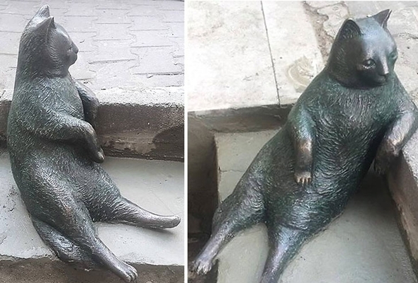 кот томбили в стамбуле