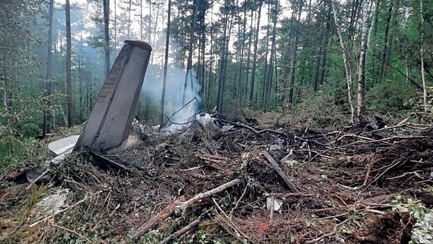 Следователи изъяли двигатели упавшего Ан-24 в Амурской области