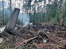 Следователи изъяли двигатели упавшего Ан-24 в Амурской области