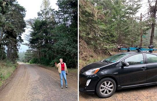 Может переночуете в лесу? Курьезная история с каршерингом