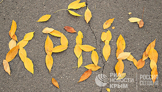Лети, смотри, беги: как нескучно встретить осень в Крыму