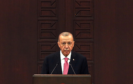 Эрдоган допустил, что Турция может "пойти разными путями с ЕС"
