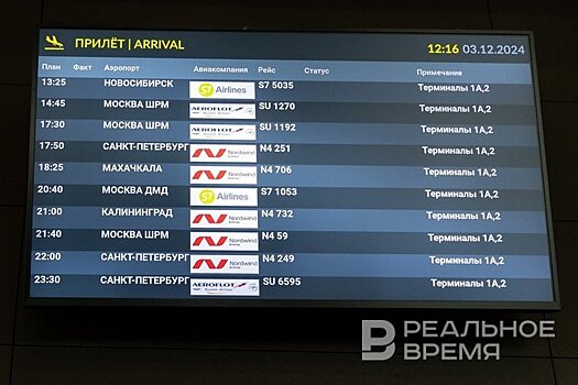 В аэропорту Казани задержано 26 рейсов из-за ограничений на полеты