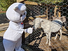 Депутат ЗС Алексей Распутин помог иркутскому зоосаду организовать детский инклюзивный фестиваль