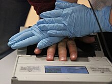 Депутат Нилов предложил проводить дактилоскопию мигрантов в аэропортах