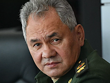 Шойгу привился от коронавируса