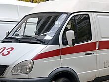 В Пензе с 9 этажа выпал 11-летний мальчик