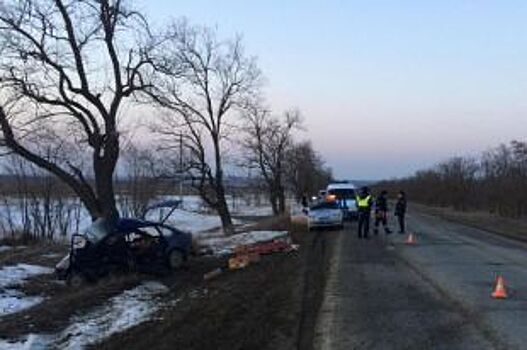 В Арзгирском районе в ДТП погиб неопытный водитель и его пассажир