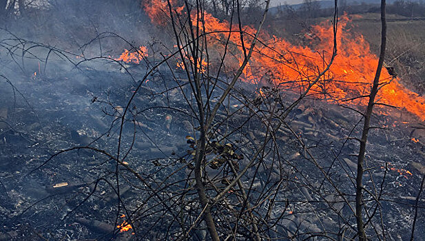 Шашлык отменяется: в МЧС рассказали, чего нельзя делать на природе из-за угрозы пожара