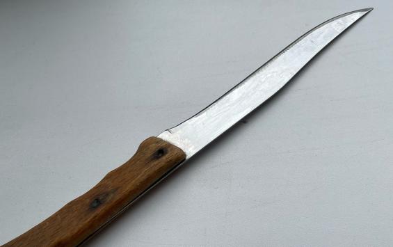 Житель Курска предстанет перед судом за попытку жестокого убийства женщины и её малолетней дочери