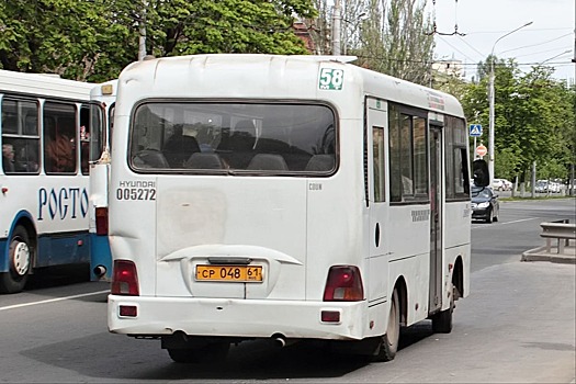 Не заменять маршрут № 58-МТ новым автобусом просит активный ростовчанин