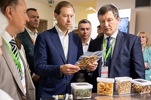 В Геленджике пройдет III Международный фудтех-форум INNOFOOD