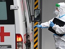 Пять случаев сибирской язвы зарегистрировали в Дагестане