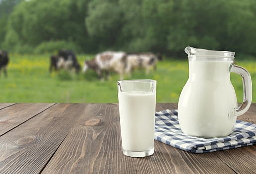 Начинающие российские агропредприниматели предпочитают  заниматься производством молока и зерновых ...