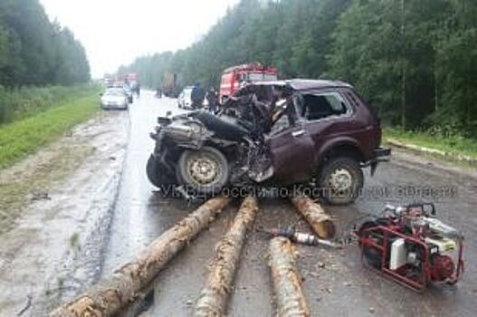 Два человека погибли из-за упавших с лесовоза брёвен в Костромской области