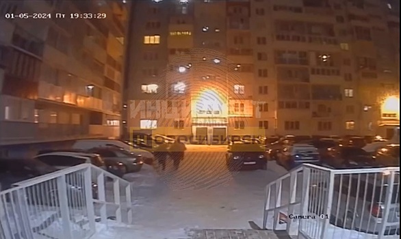 Мигранты напали на таксиста в Плющихинском жилмассиве в Новосибирске