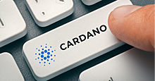 Стоит ли инвестировать в Cardano? Будущее "зеленой" криптовалюты