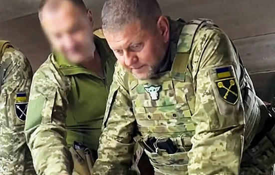 Залужный опроверг информацию о планах баллотироваться в президенты Украины