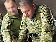 Залужный опроверг информацию о планах баллотироваться в президенты Украины