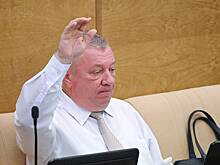 В Госдуме признались в голосовании за законы из дисциплины