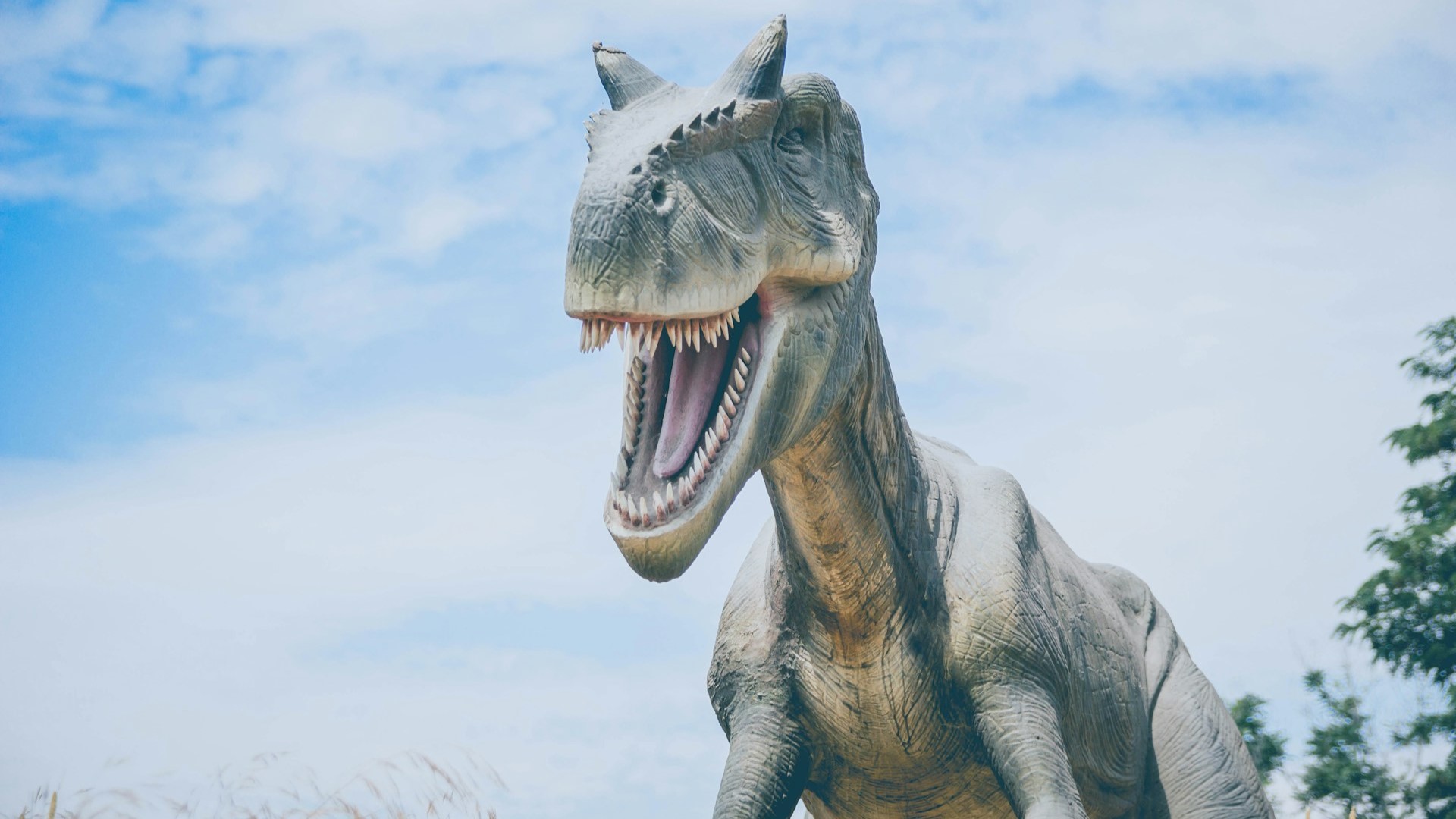 Желудочные камни помогут российским ученым отправиться по следам динозавров