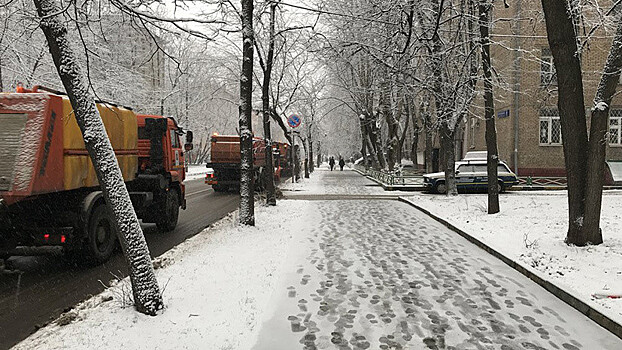 Какую погоду обещают синоптики москвичам в ближайшее время