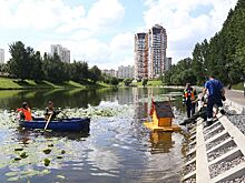 Пернатые довольны. На Большом Очаковском пруду установили домики для уток