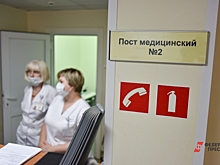 Петербургские врачи поедут проверять работу Новокузнецкого родильного дома, где погибли младенцы