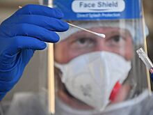 Депутаты Волгоградской области сдадут тесты на коронавирус