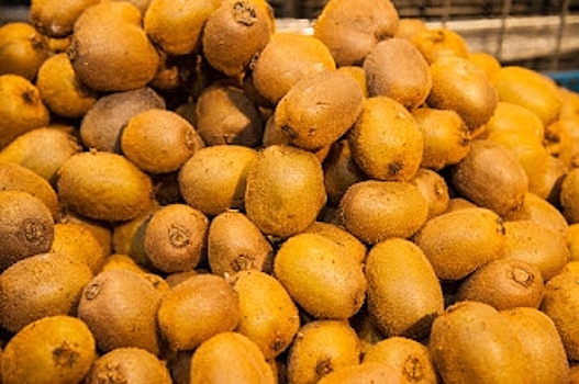 Волгоградцам рассказали о простых продуктах для здоровья кишечника