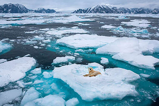 Политолог Дудаков: Трамп проиграл по вопросу Гренландии