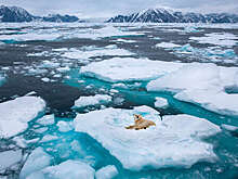 Политолог Дудаков: Трамп проиграл по вопросу Гренландии