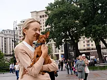 Масштабный проект «Лето в Москве» начнется 1 июня