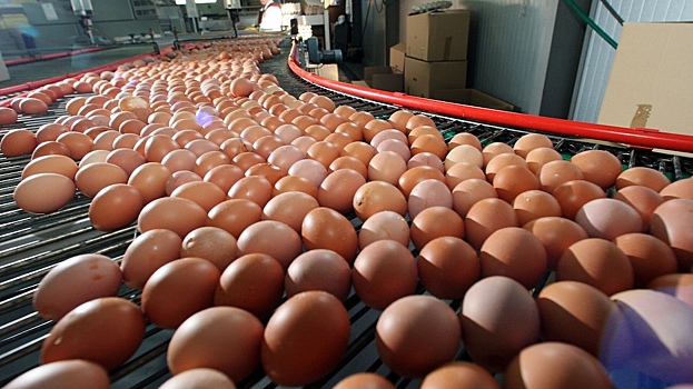 Совет ЕЭК решил обнулить пошлины на импорт в РФ куриных яиц