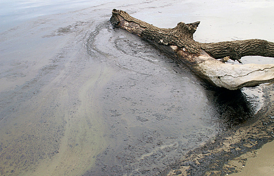 Разлив нефтепродуктов обнаружили в одной из бухт Владивостока