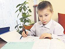 В школах Челябинска отменены занятия из-за мороза