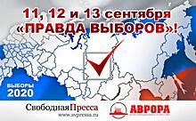 Выборы 2020. Главное: Коновалов, Данюк, Пегов, Фабричный, Останина, Михеев и другие