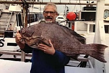 Рыбак поймал самого большого в мире морского окуня