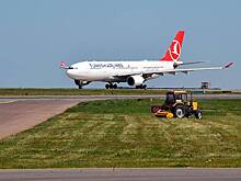 Turkish Airlines возобновила рейсы с курортов Турции