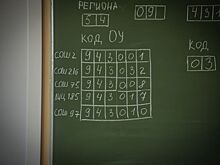 В Новосибирской области около 200 преступников сдают ОГЭ и ЕГЭ в 2024 году