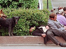 Названы самые пьющие регионы России