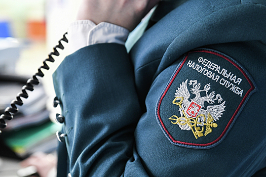 Финансист Бархота: Новый подход к налоговым долгам не всегда выгоден для ФНС