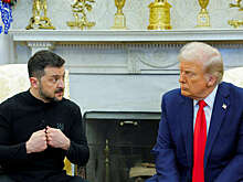 Уиткофф: Зеленский принес извинения Трампу за инцидент в Белом доме