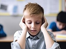 Депутат Слуцкий: законопроект о штрафах за буллинг рассмотрят в осеннюю сессию