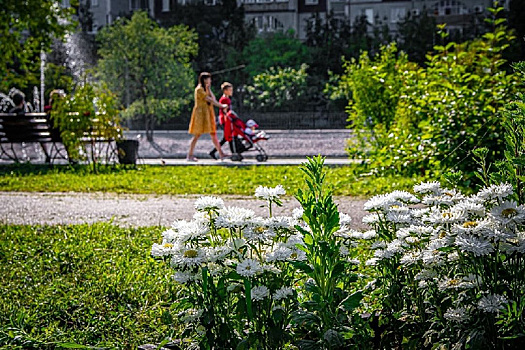В благовещенском парке Дружбы к его дню рождения появится подсветка водопада