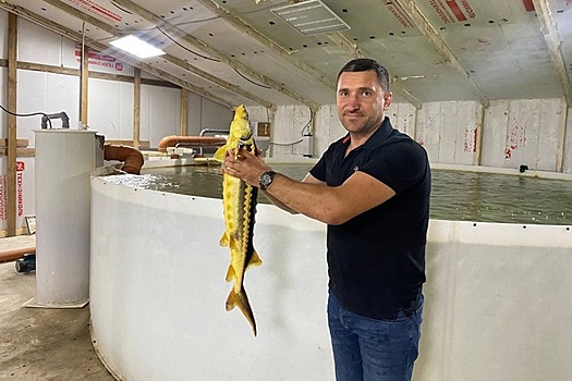 Глава Адыгеи рассказал о поддержке в республике начинающих фермеров