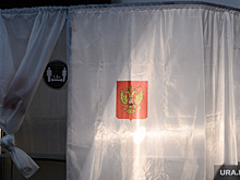 На праймериз «Единой России» сообщили о возможных нарушениях