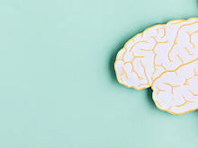 Учёные предлагают лечить болезнь Альцгеймера светотерапией